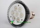 LED PAR Lights