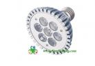 LED PAR Lights