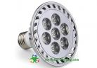 LED PAR Lights